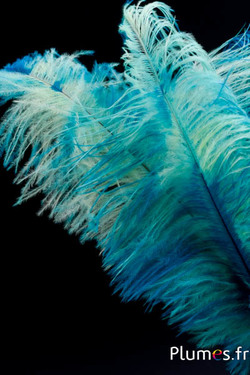 Autruche - 30-40 cm - turquoise-jaune